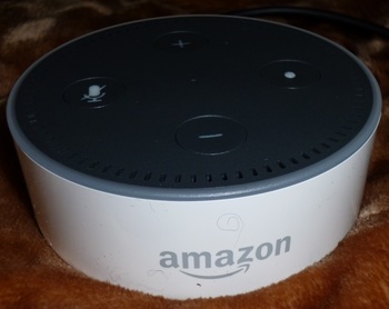 Amazon Echo Dot.jpg
